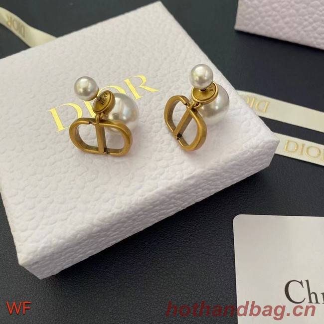 Dior Earrings CE8954