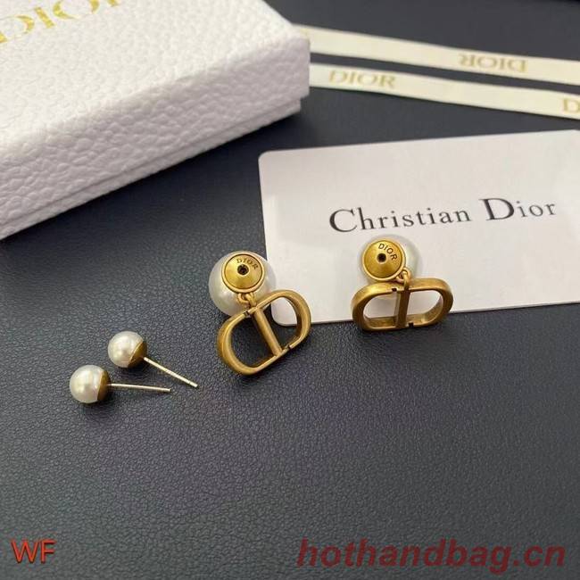 Dior Earrings CE8954