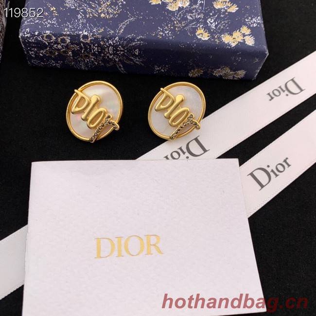 Dior Earrings CE8976