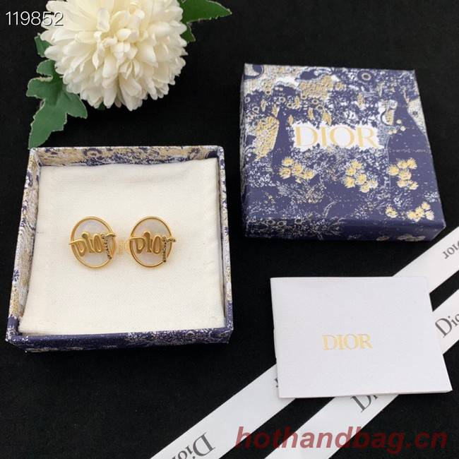 Dior Earrings CE8976