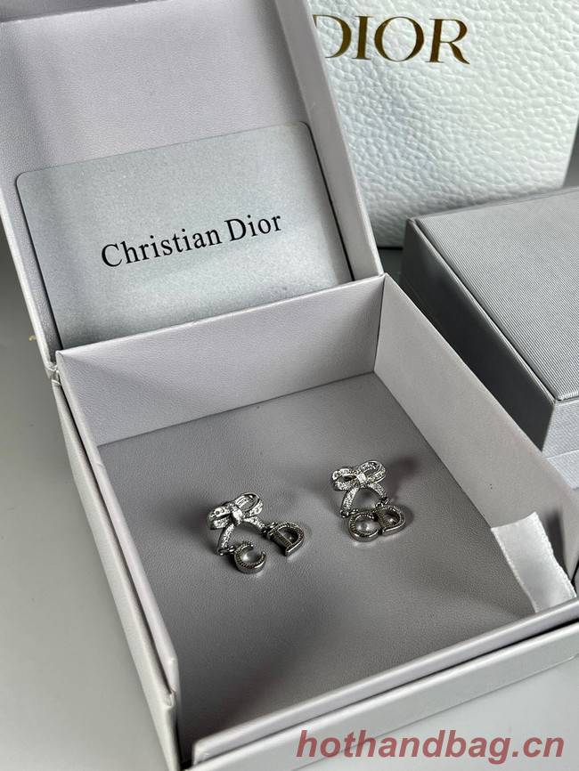 Dior Earrings CE8979