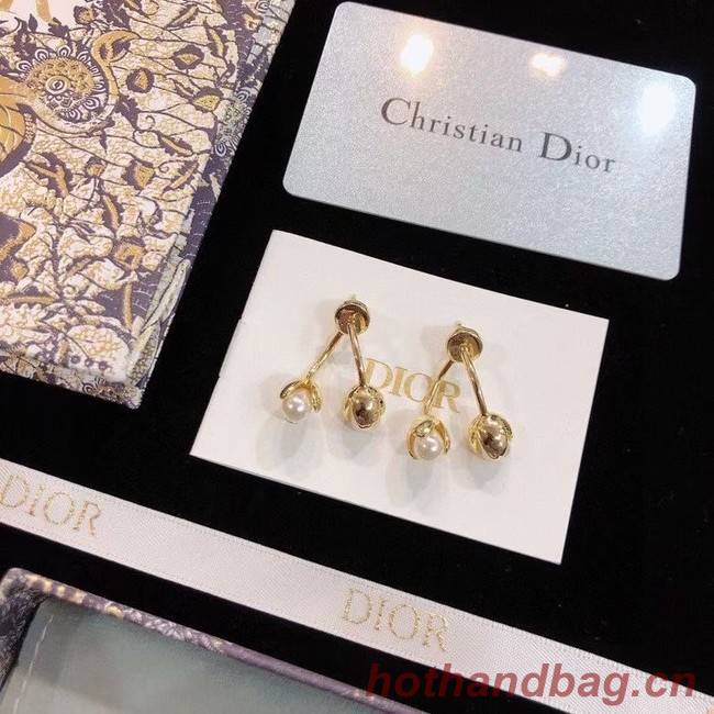 Dior Earrings CE9003