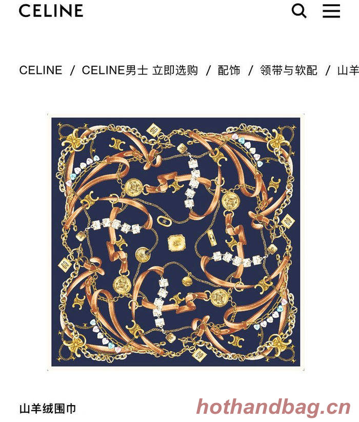 CELINE Scarf CLC00016