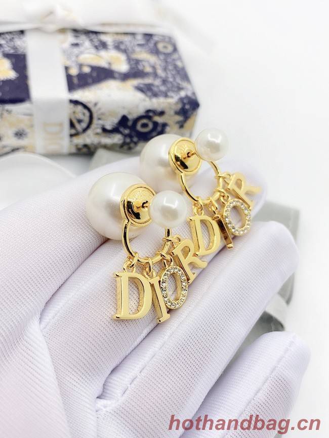 Dior Earrings CE9110