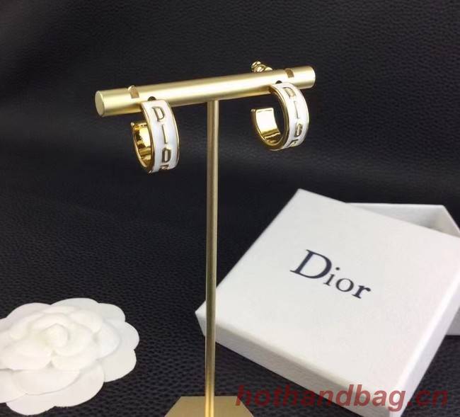 Dior Earrings CE9153