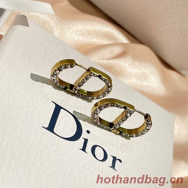 Dior Earrings CE9255