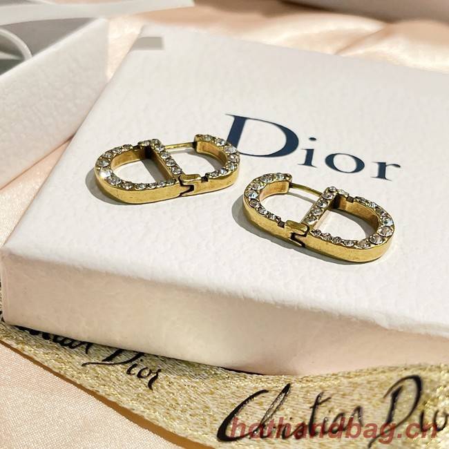 Dior Earrings CE9255