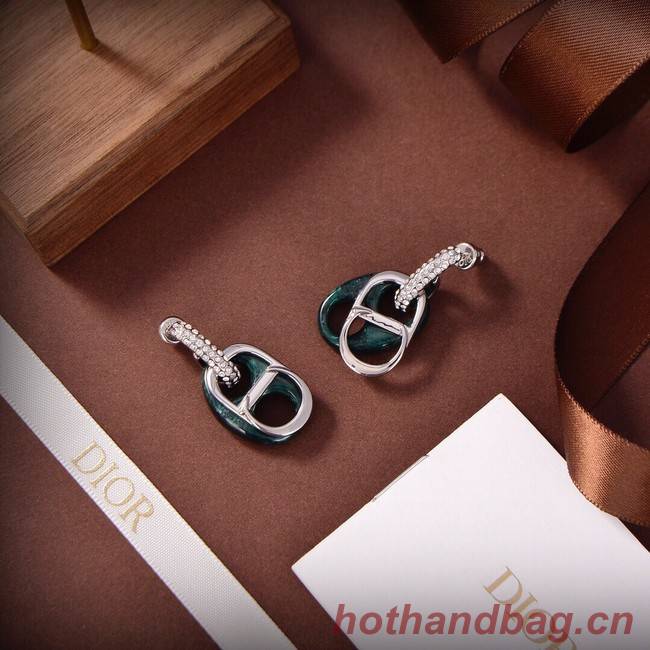 Dior Earrings CE9309