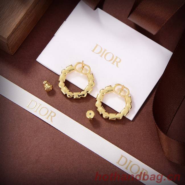 Dior Earrings CE9310