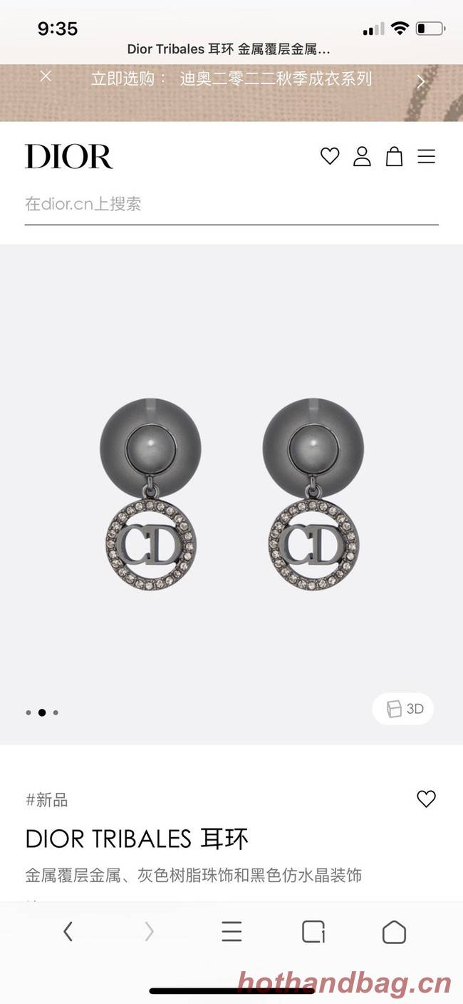 Dior Earrings CE9311