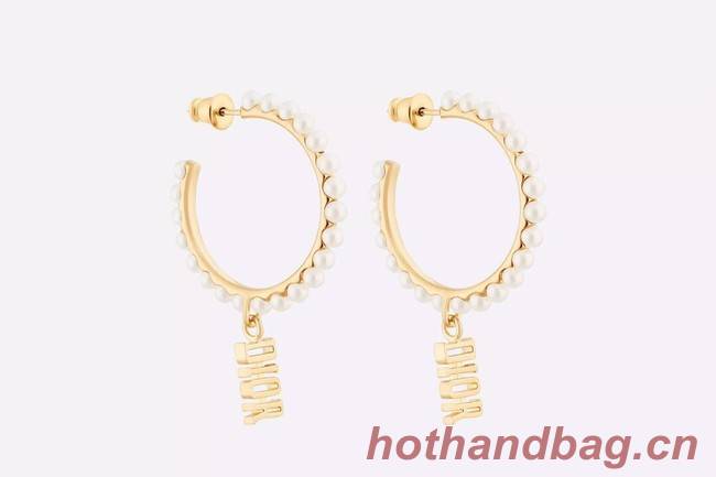 Dior Earrings CE9313