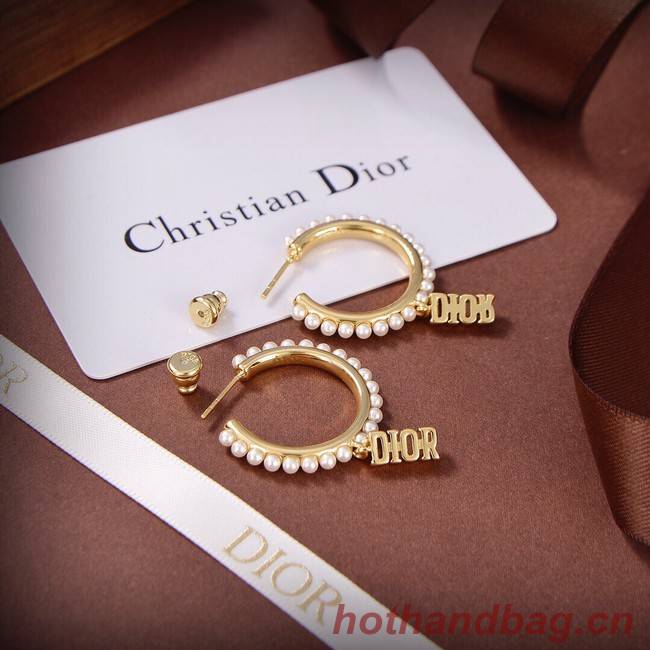 Dior Earrings CE9313