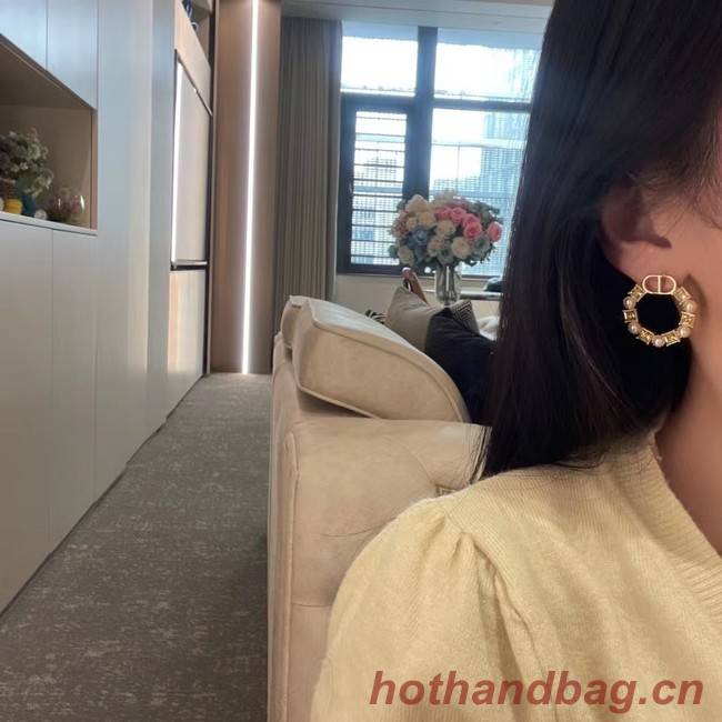 Dior Earrings CE9384