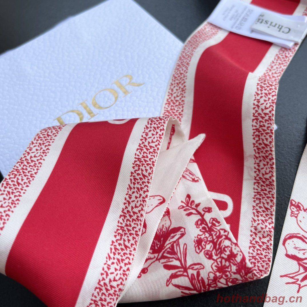 Dior Scarf DIC00001