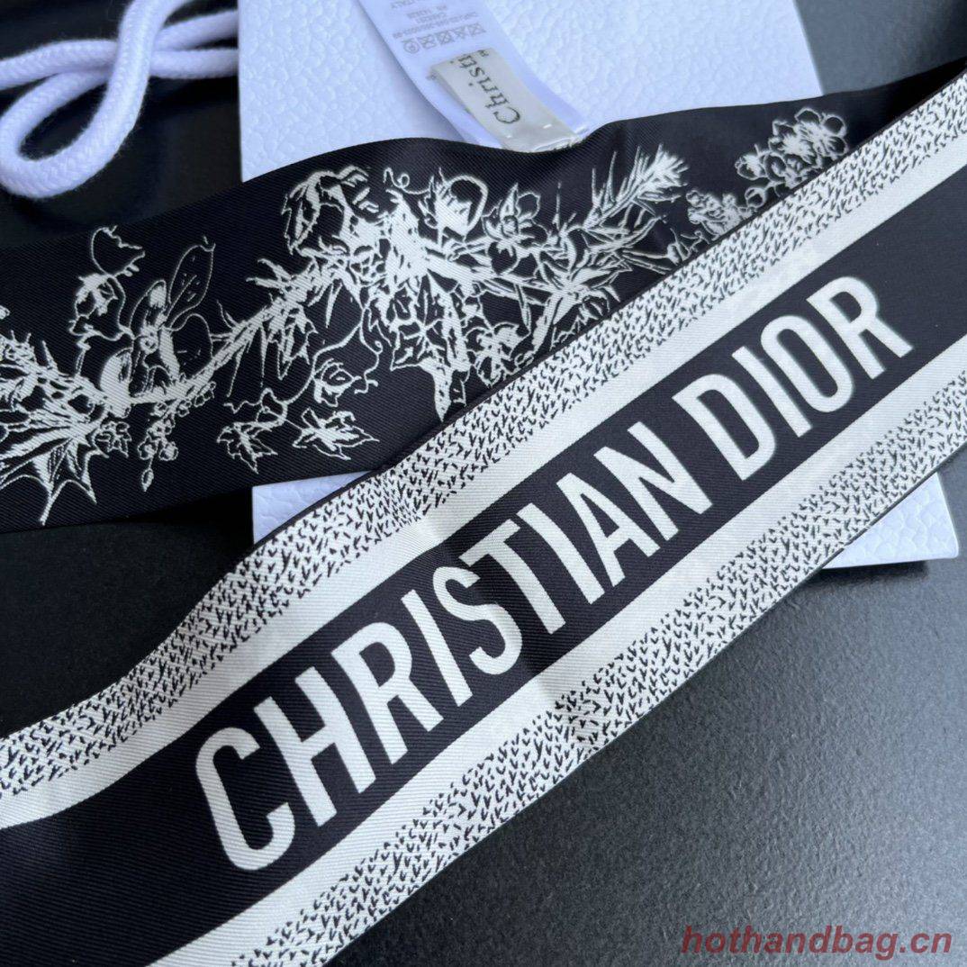 Dior Scarf DIC00002