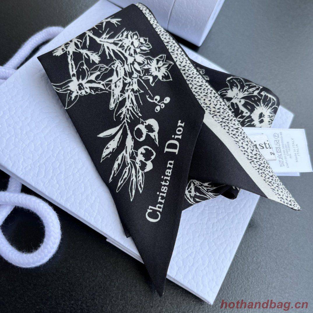 Dior Scarf DIC00002