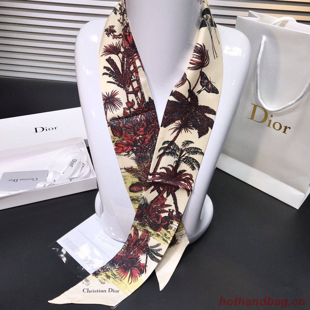 Dior Scarf DIC00003