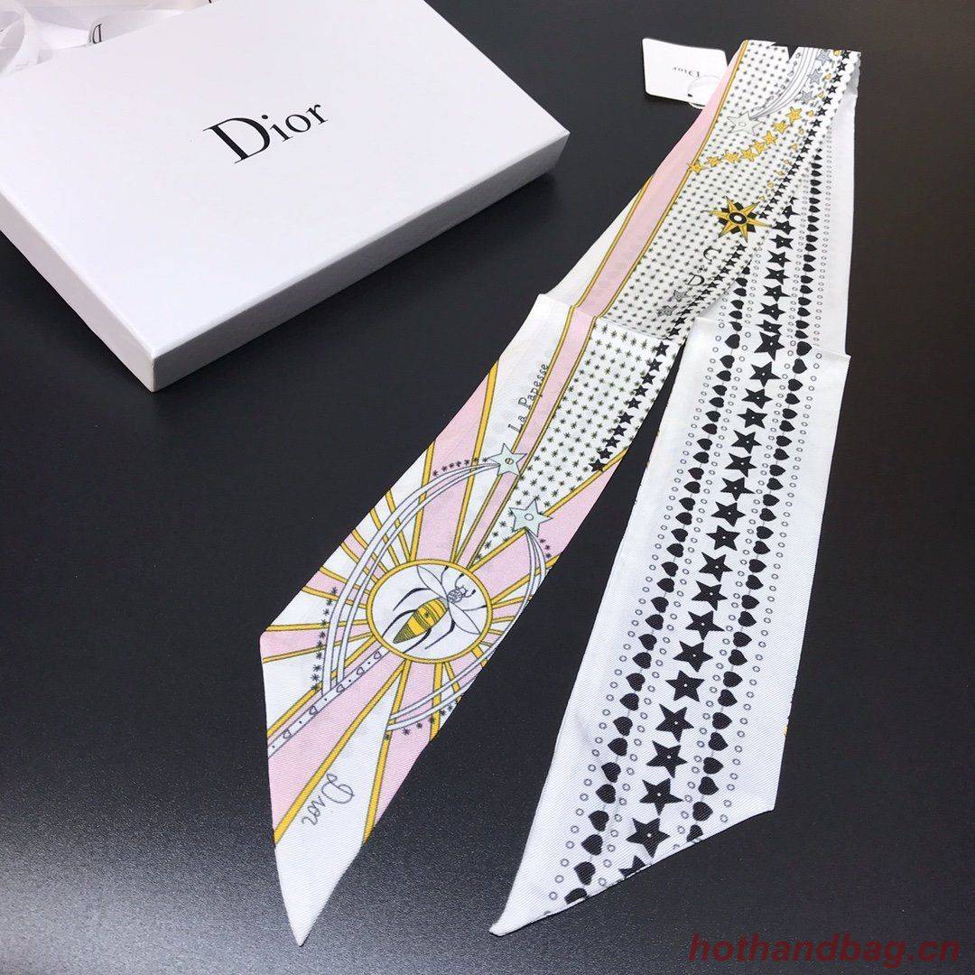 Dior Scarf DIC00007