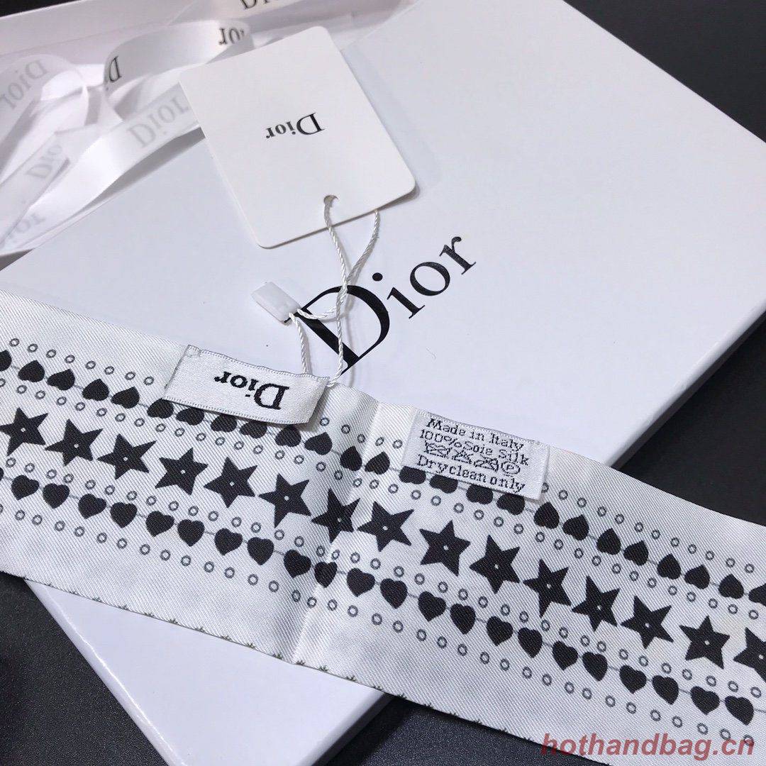 Dior Scarf DIC00007