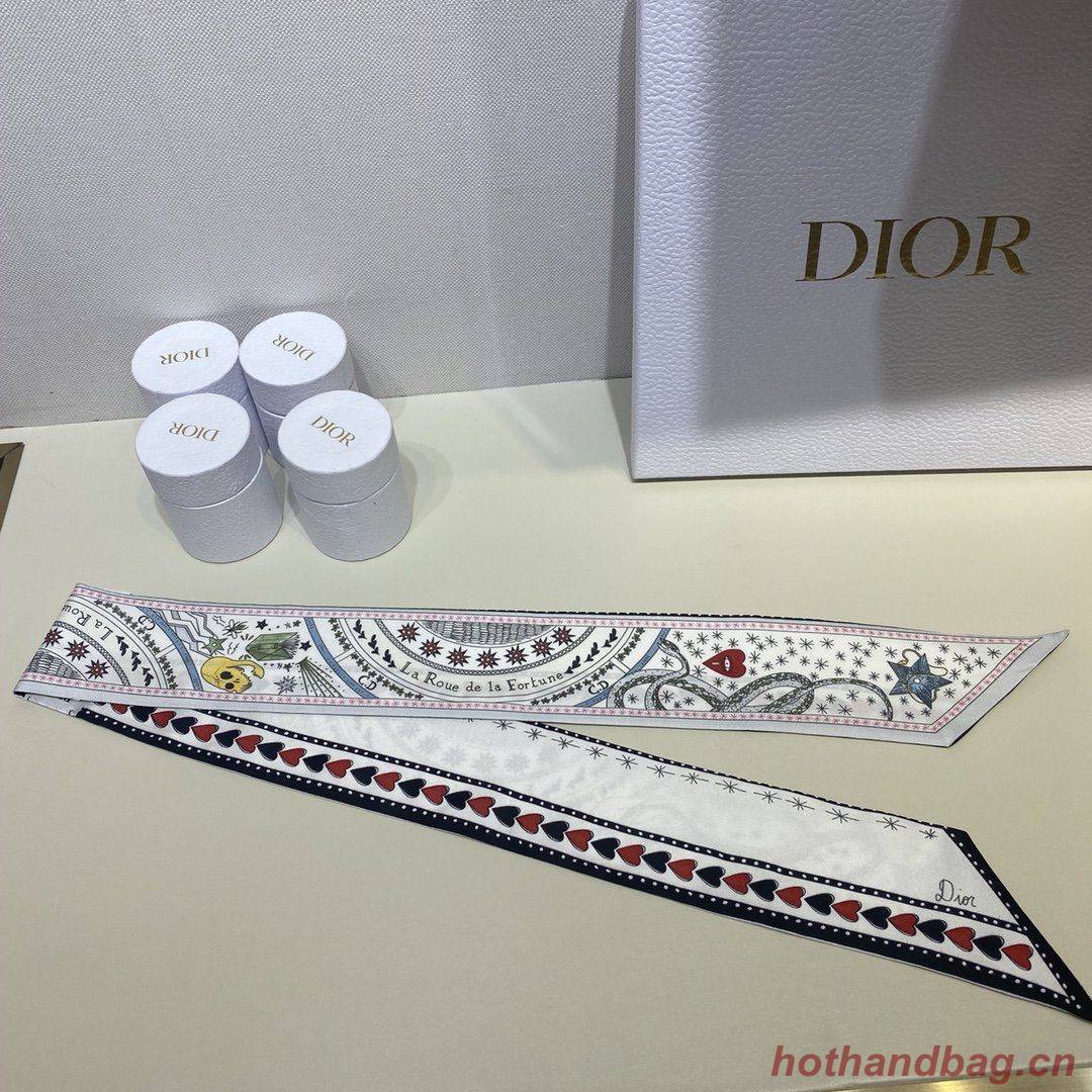 Dior Scarf DIC00011