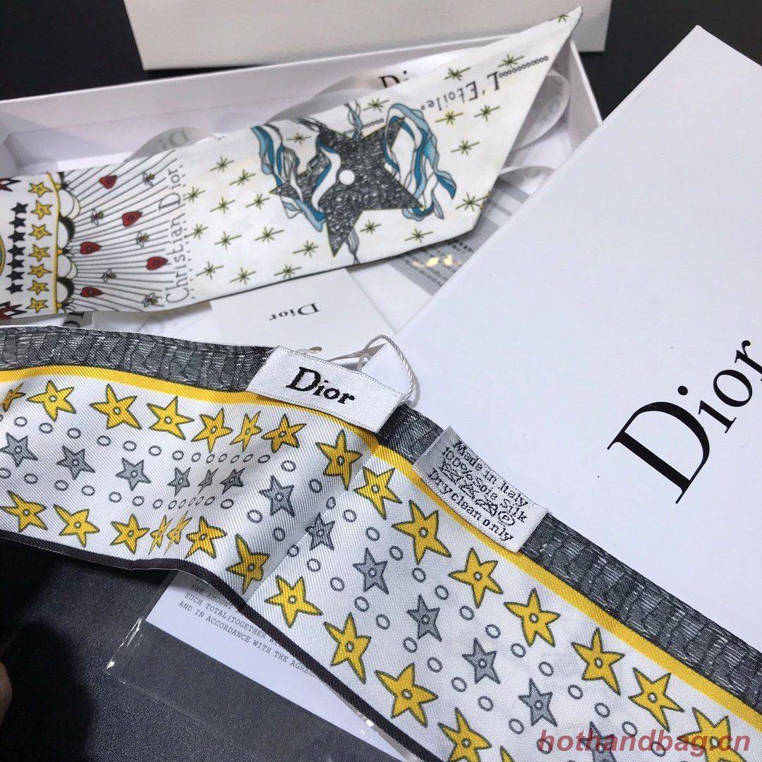 Dior Scarf DIC00012