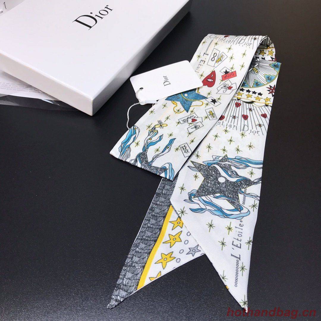 Dior Scarf DIC00012