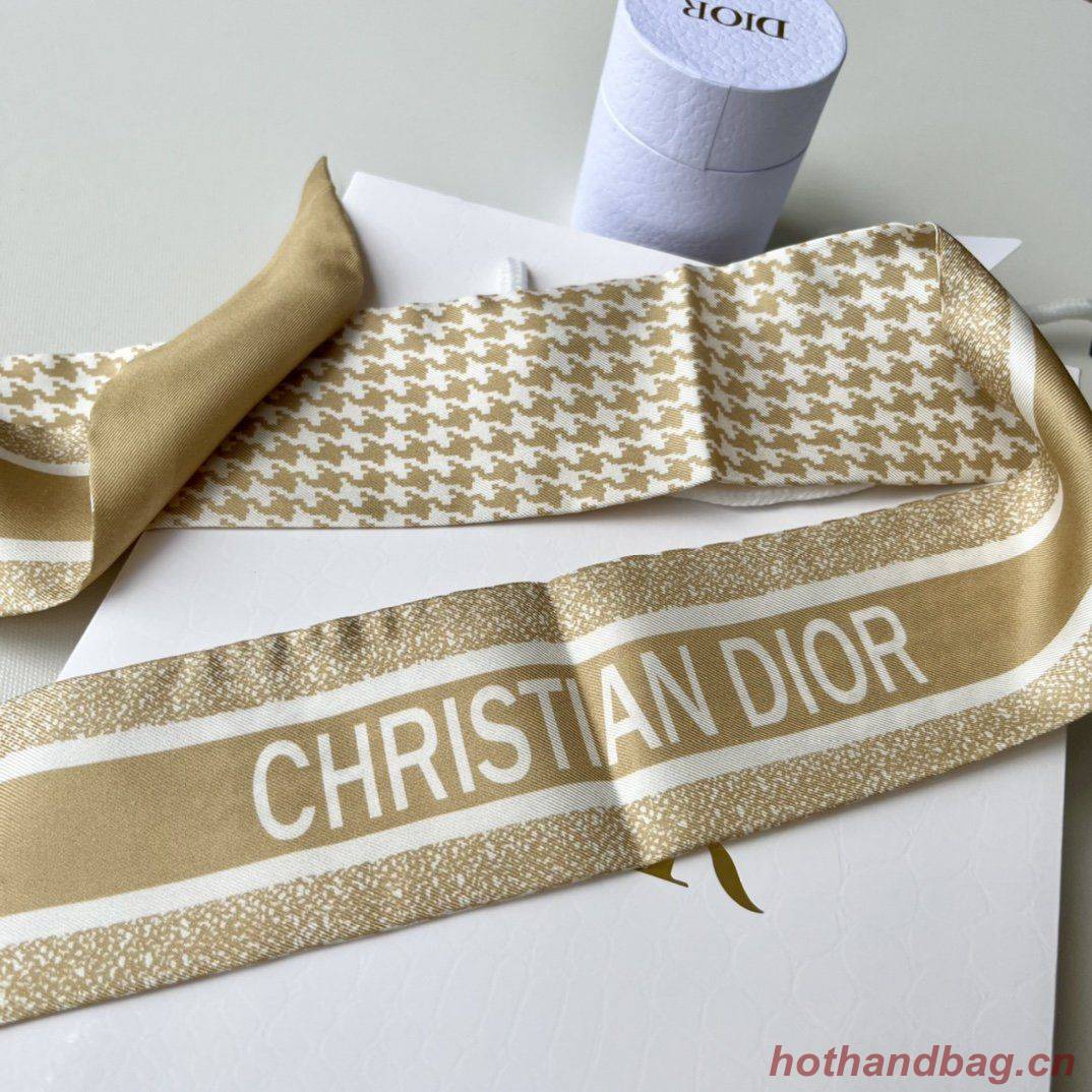 Dior Scarf DIC00013