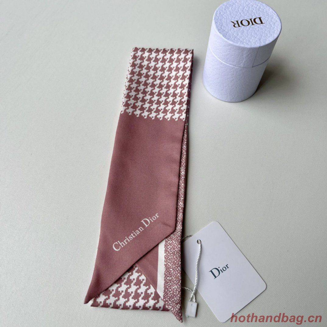 Dior Scarf DIC00014