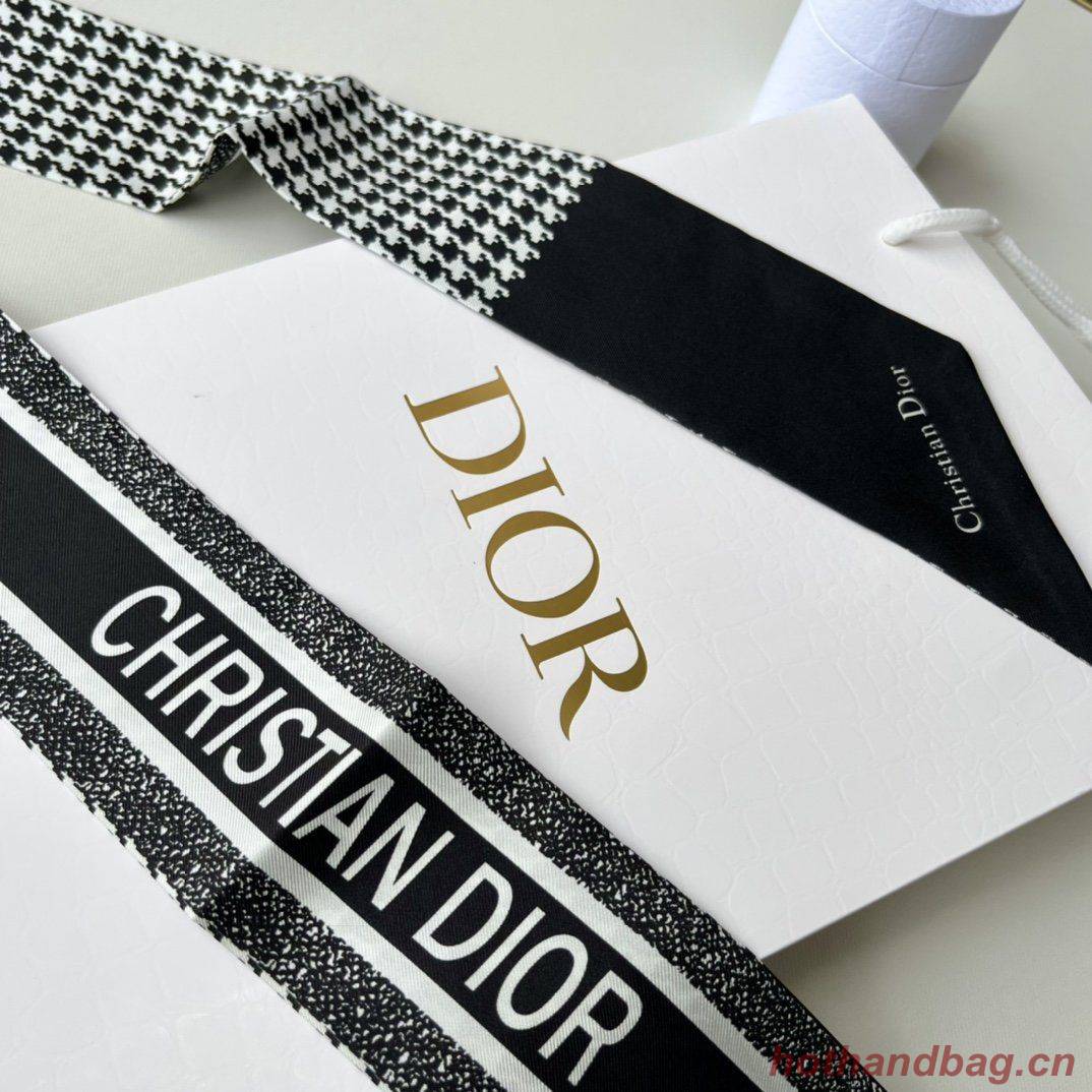 Dior Scarf DIC00015