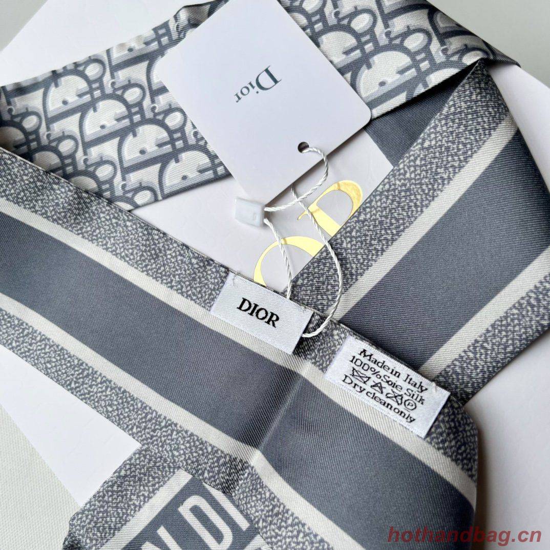 Dior Scarf DIC00017