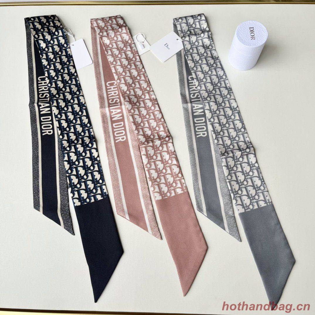 Dior Scarf DIC00017