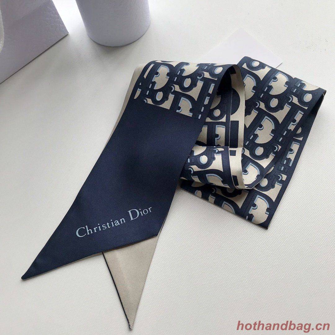 Dior Scarf DIC00020