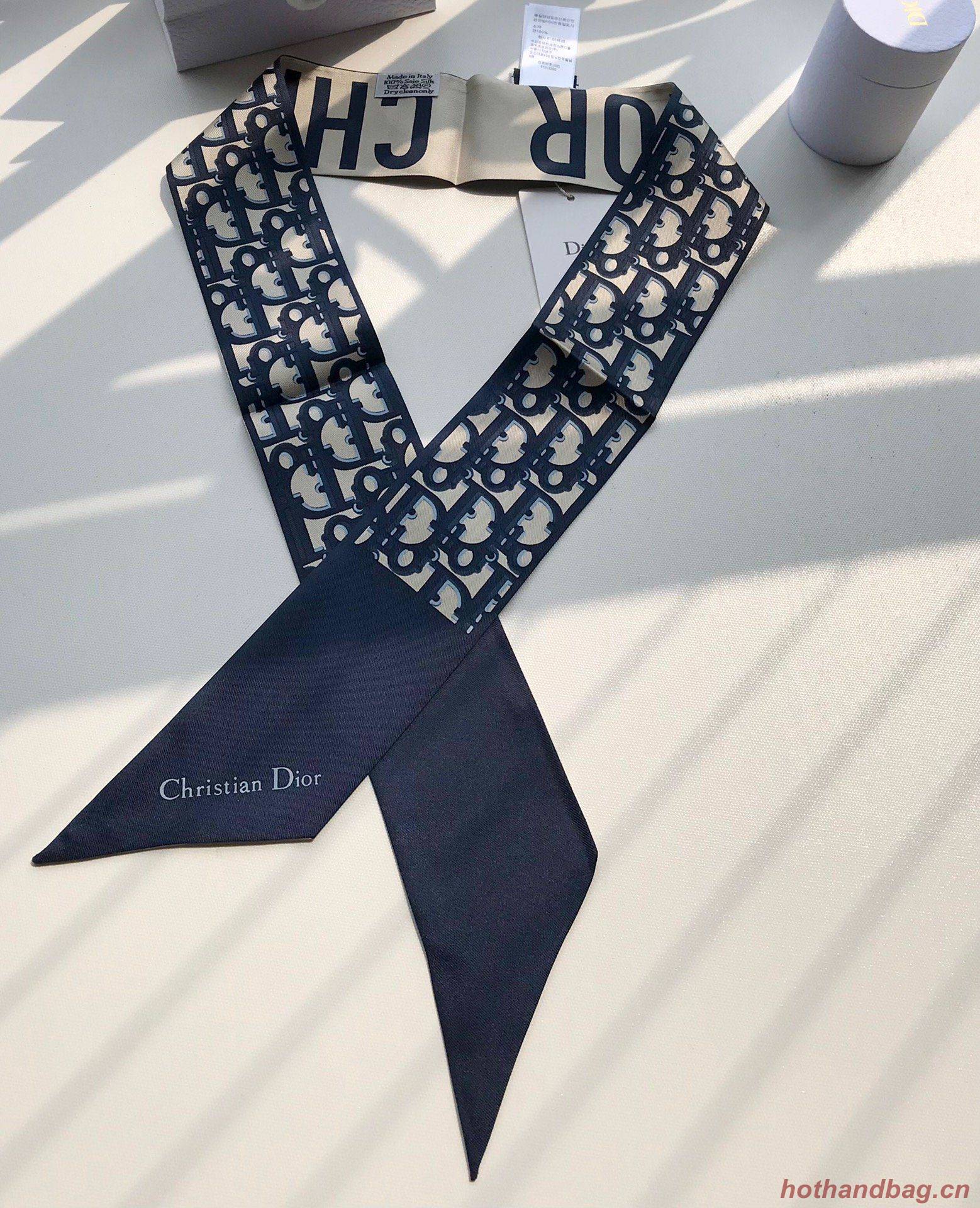 Dior Scarf DIC00020