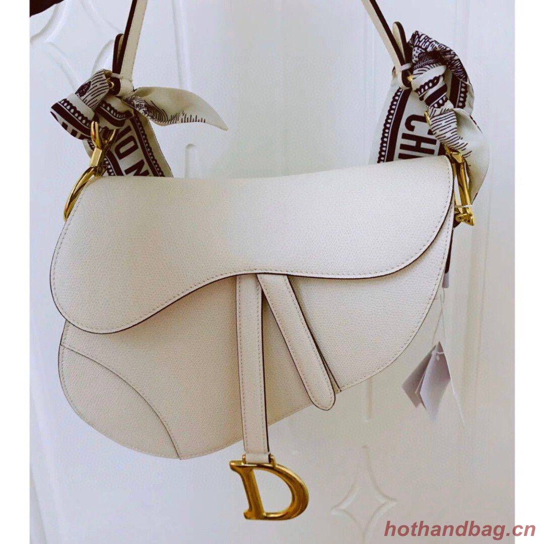 Dior Scarf DIC00021