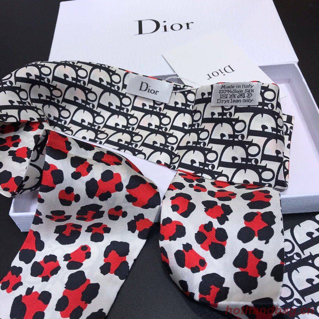 Dior Scarf DIC00024