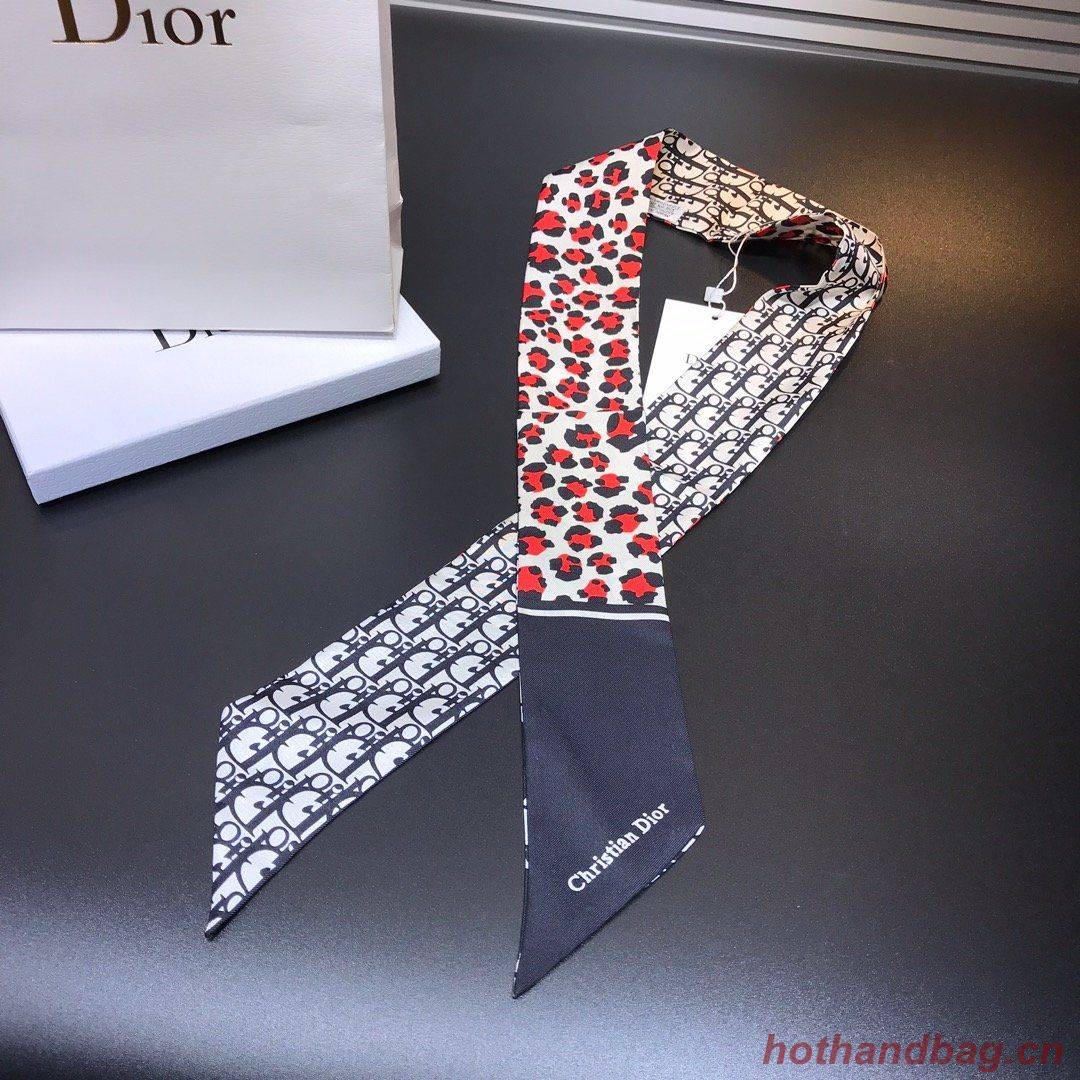 Dior Scarf DIC00024