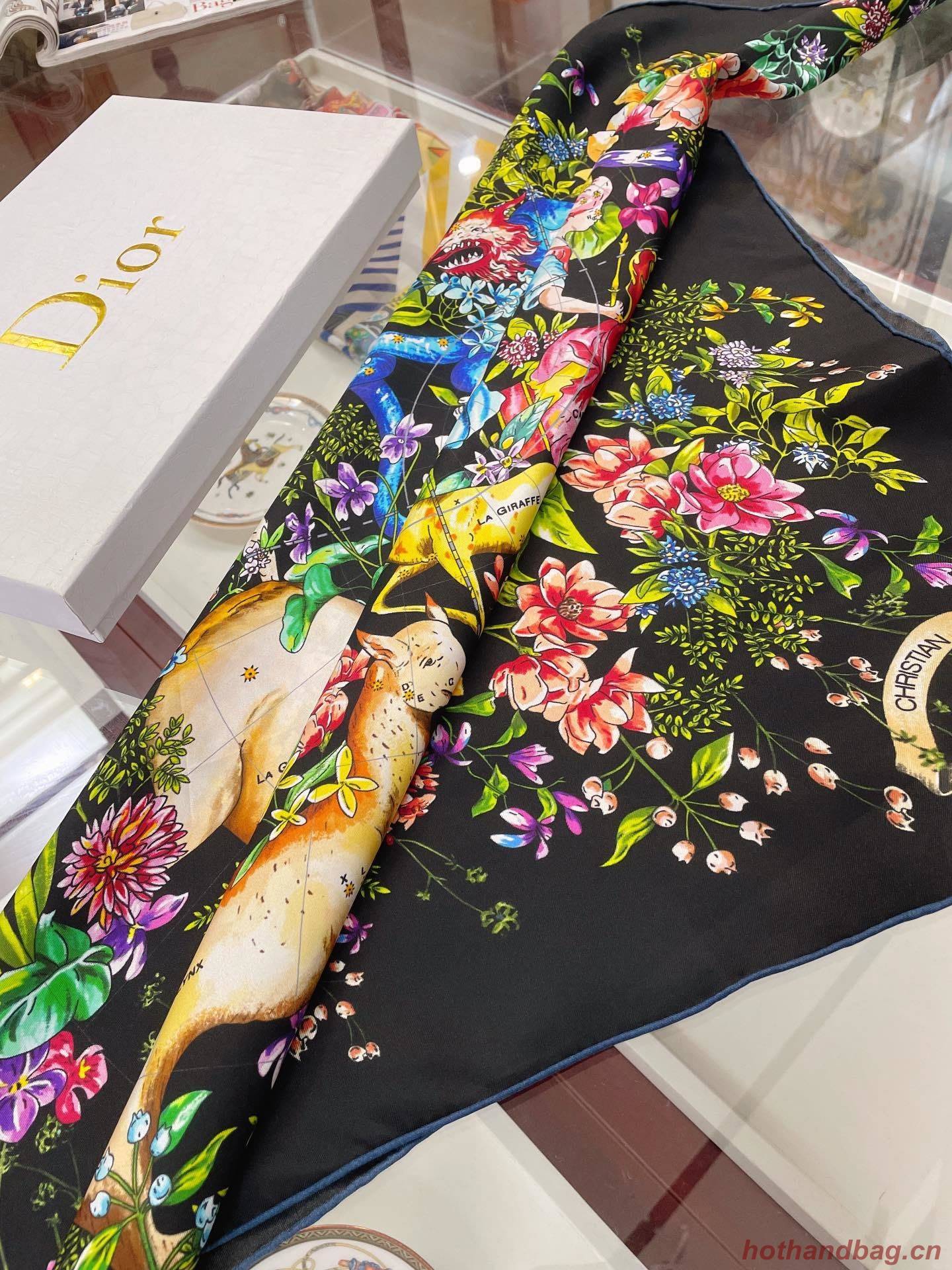 Dior Scarf DIC00040