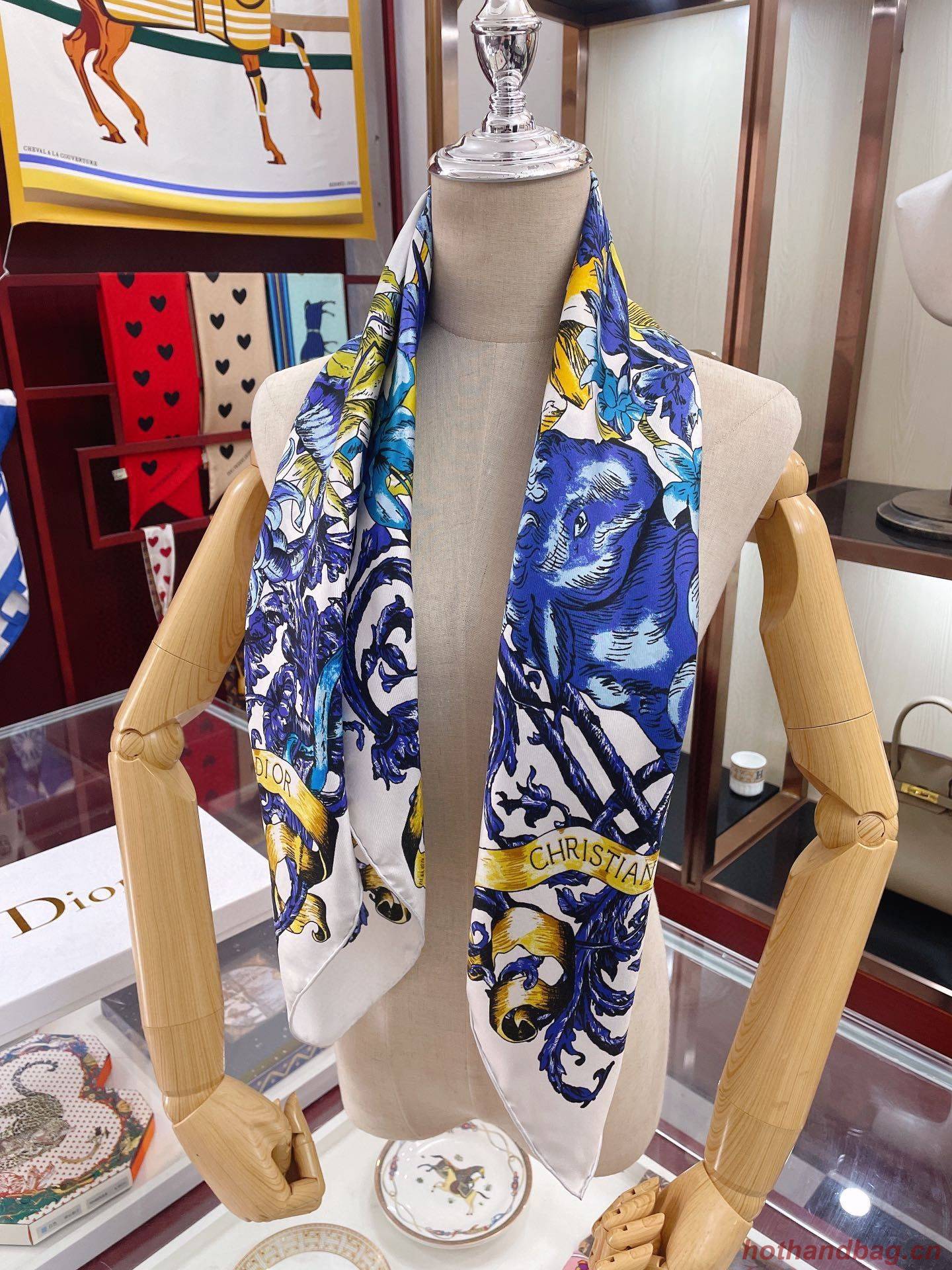 Dior Scarf DIC00044