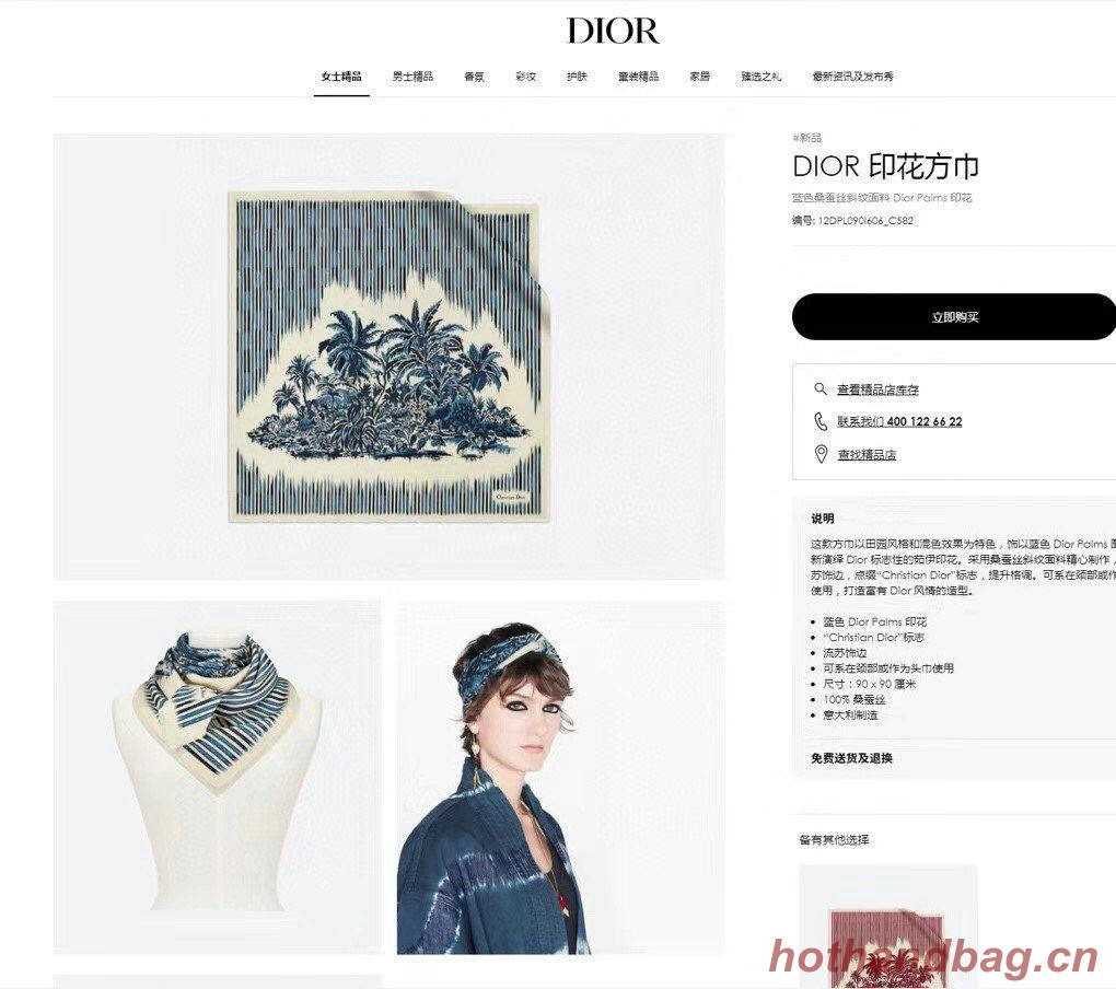 Dior Scarf DIC00046