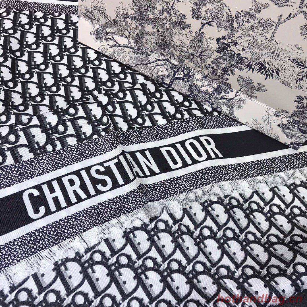 Dior Scarf DIC00052