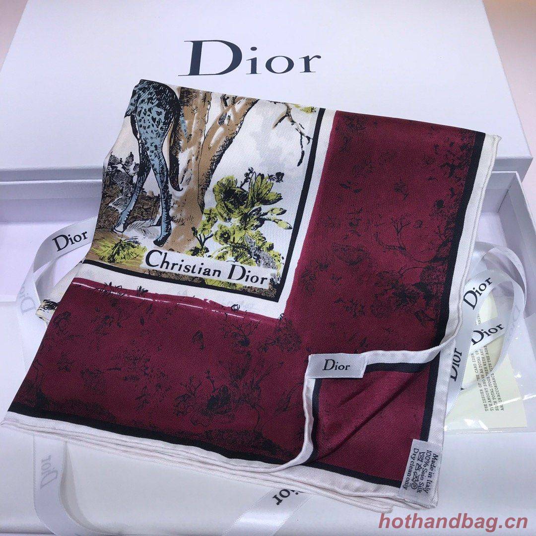 Dior Scarf DIC00054