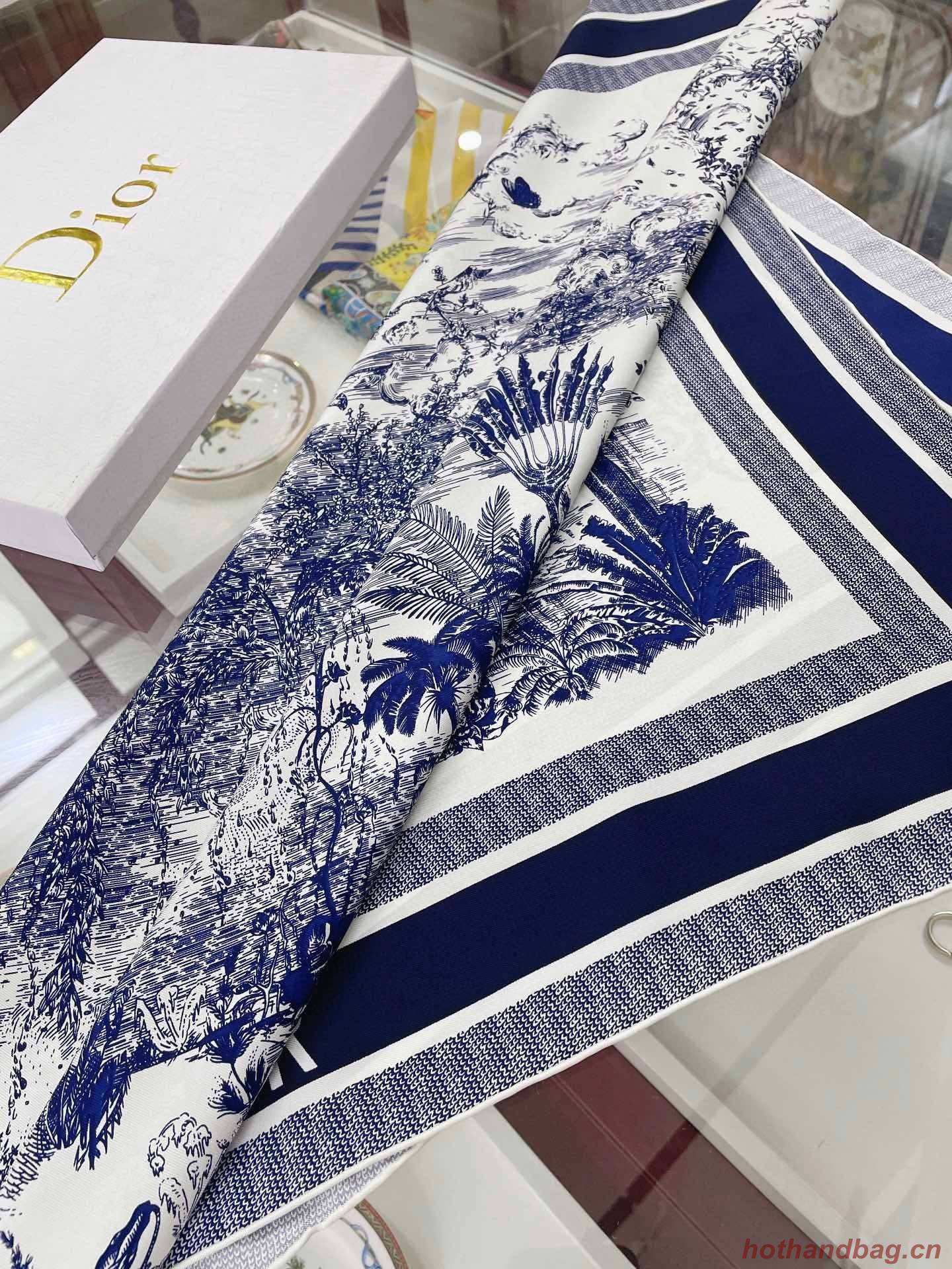 Dior Scarf DIC00056