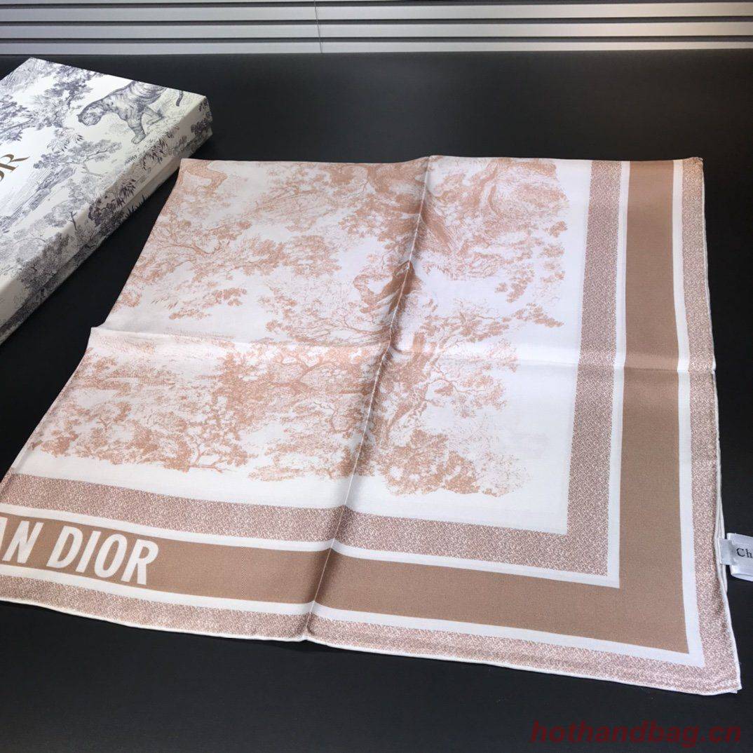 Dior Scarf DIC00059