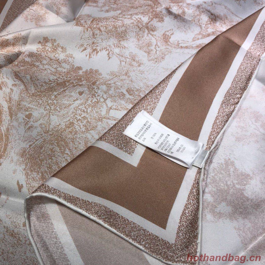 Dior Scarf DIC00059