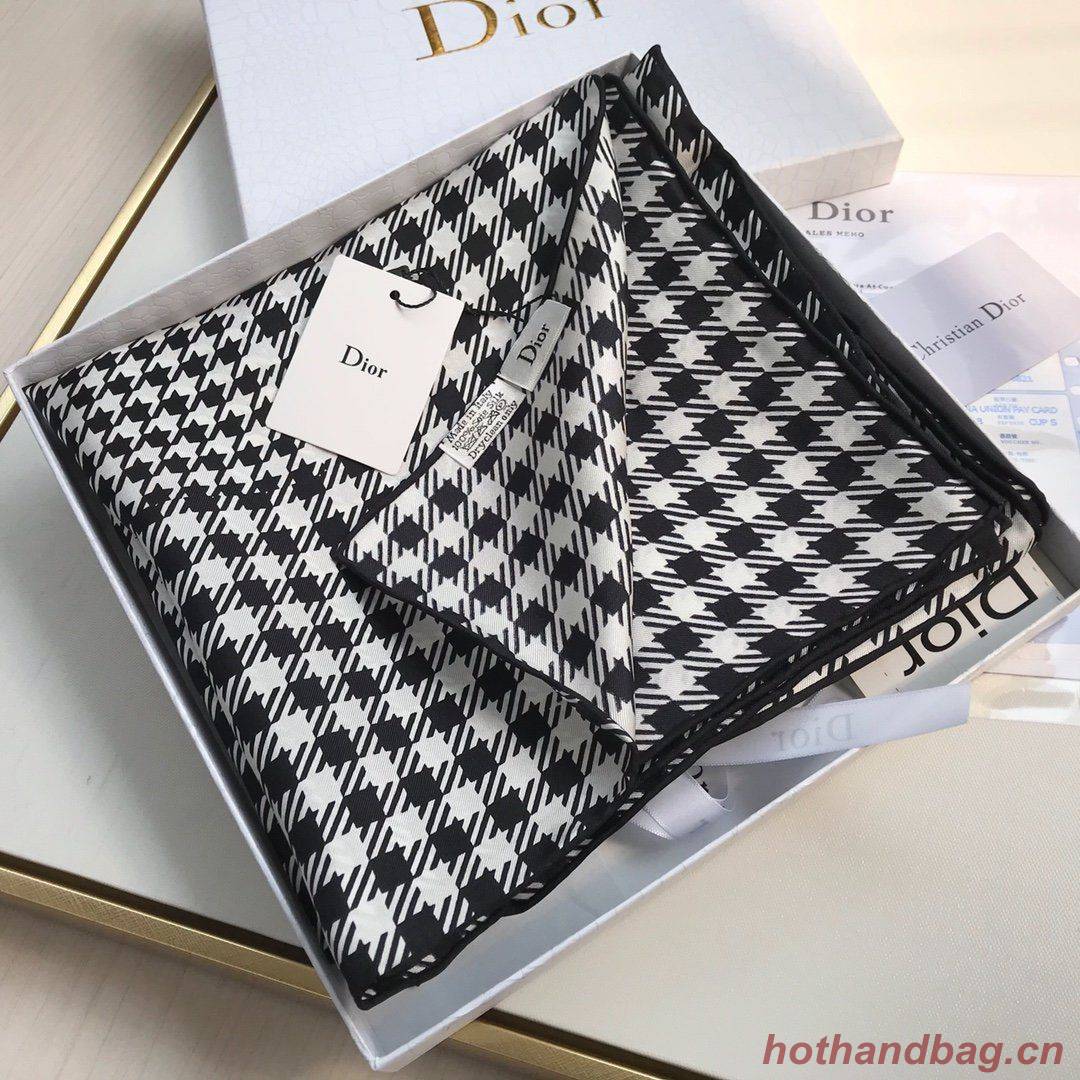 Dior Scarf DIC00060