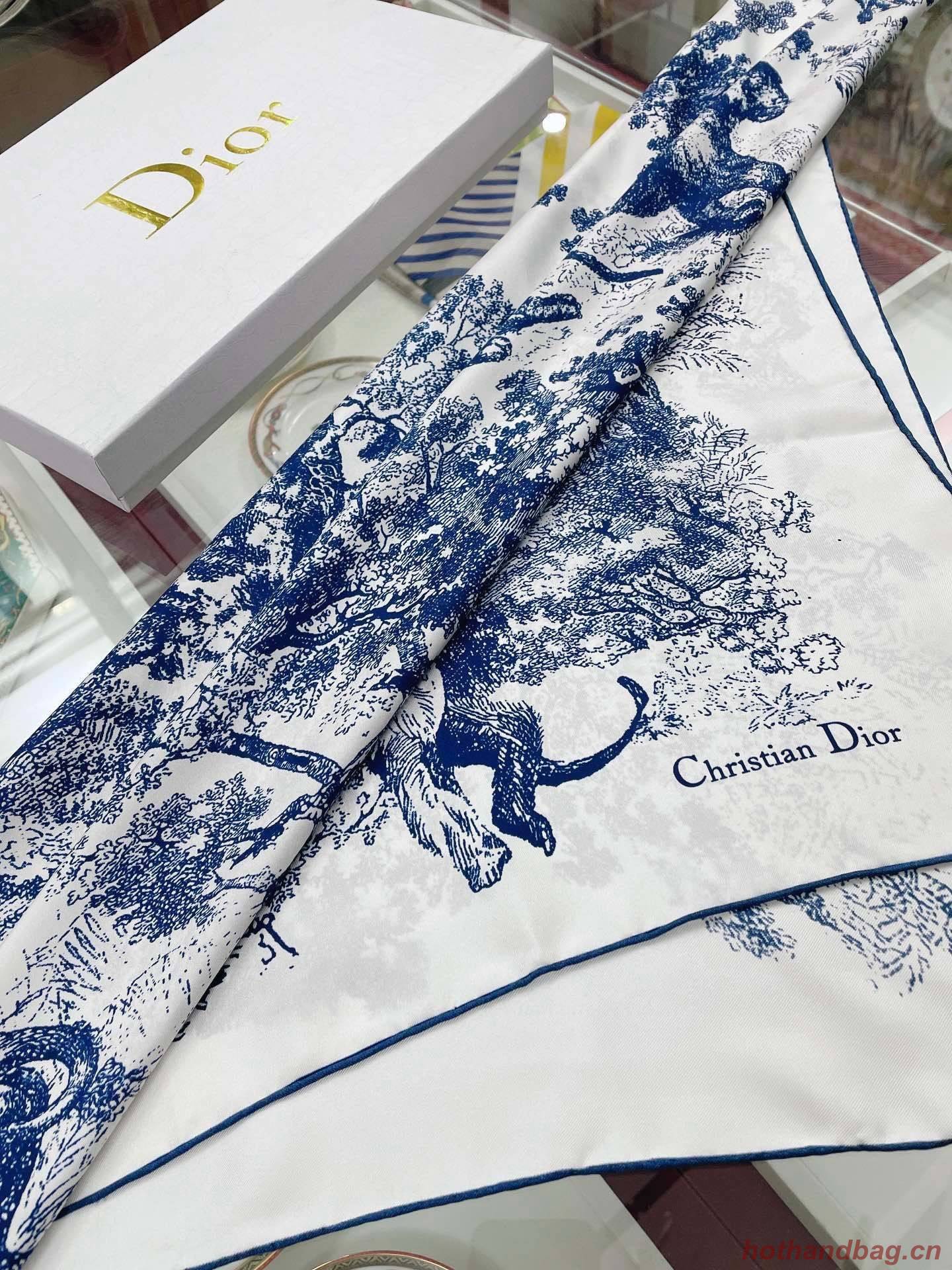 Dior Scarf DIC00061