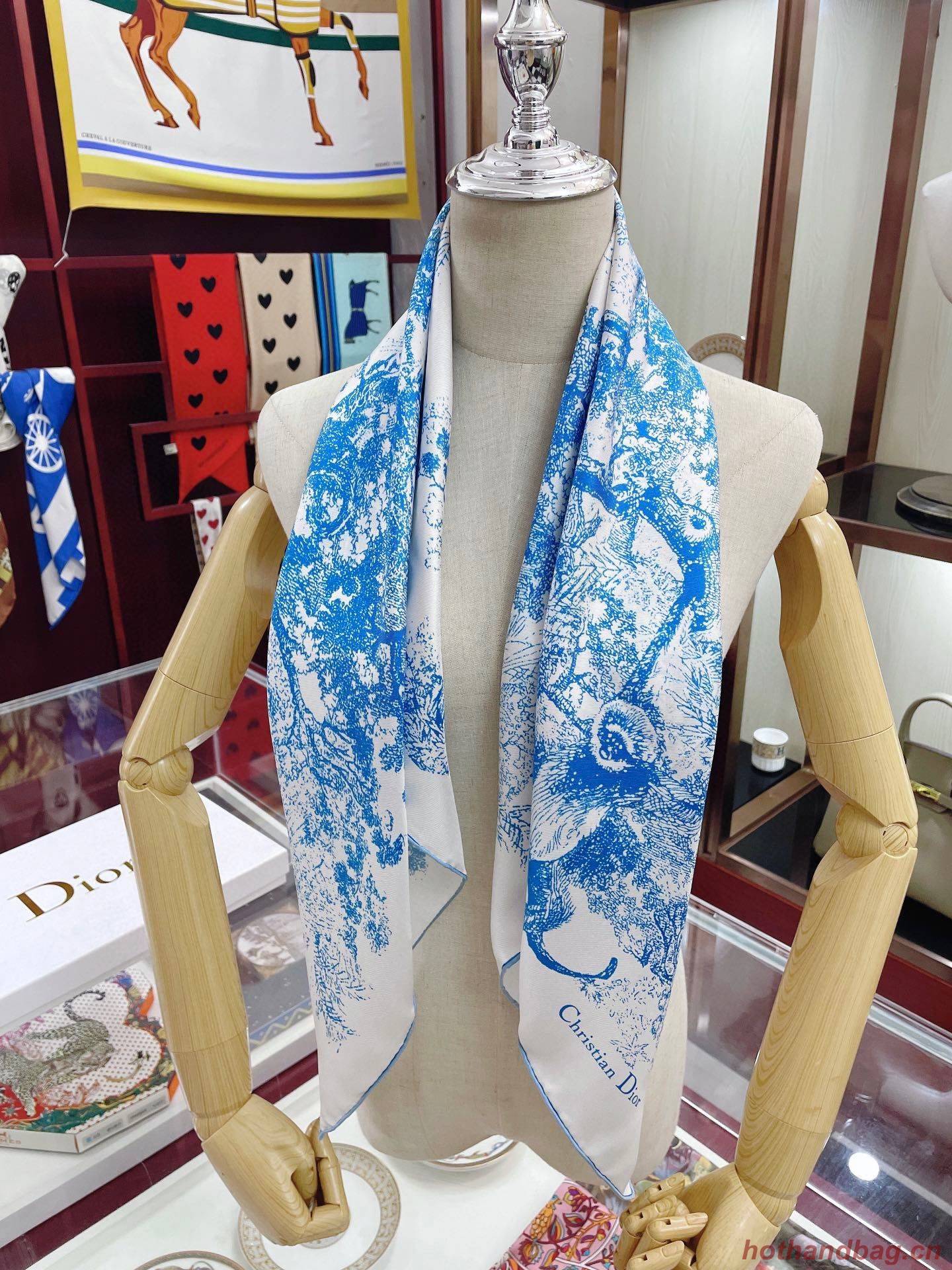 Dior Scarf DIC00063