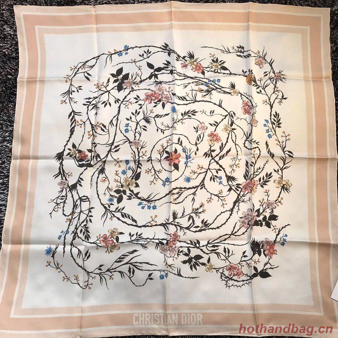 Dior Scarf DIC00068