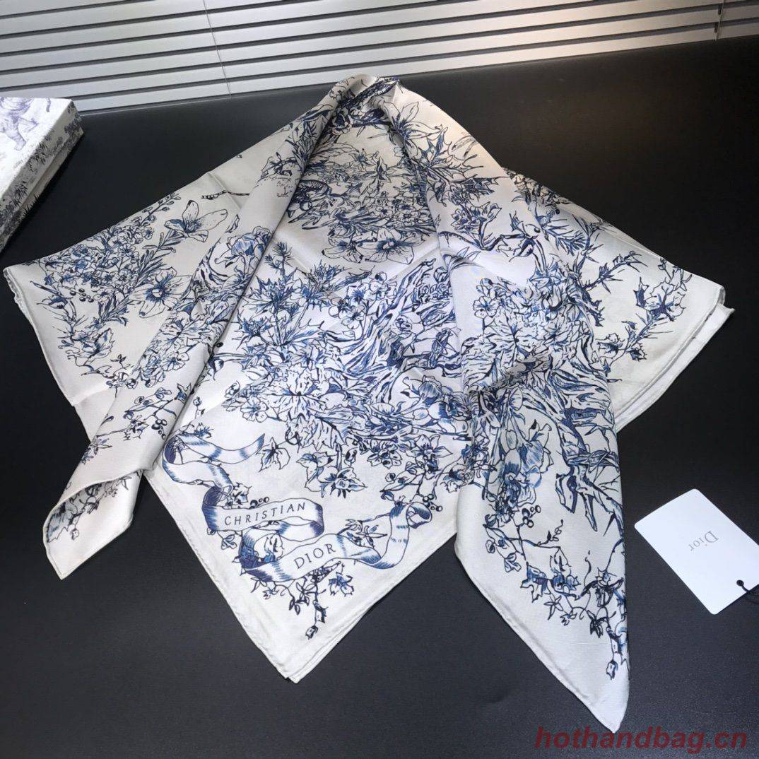 Dior Scarf DIC00071