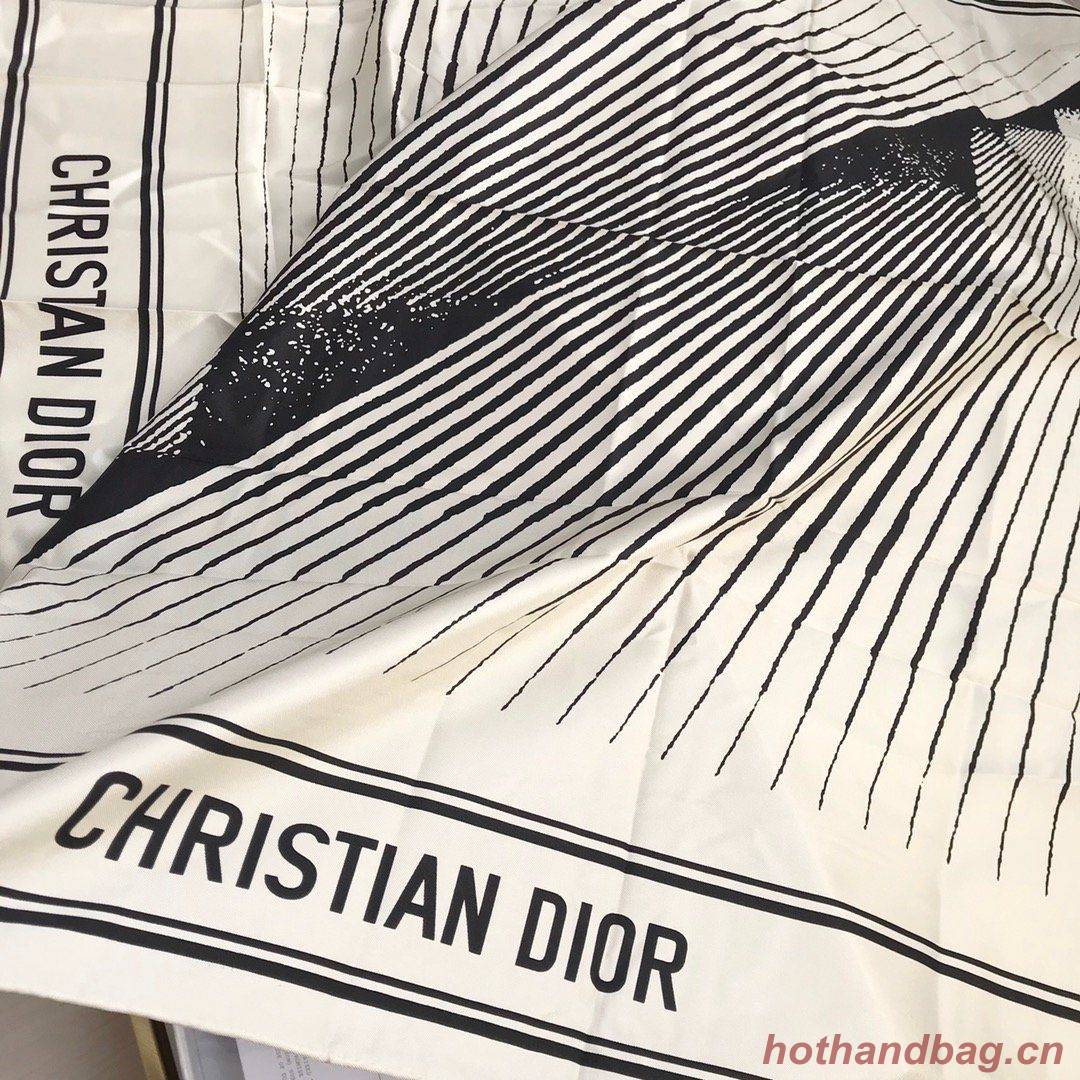 Dior Scarf DIC00073